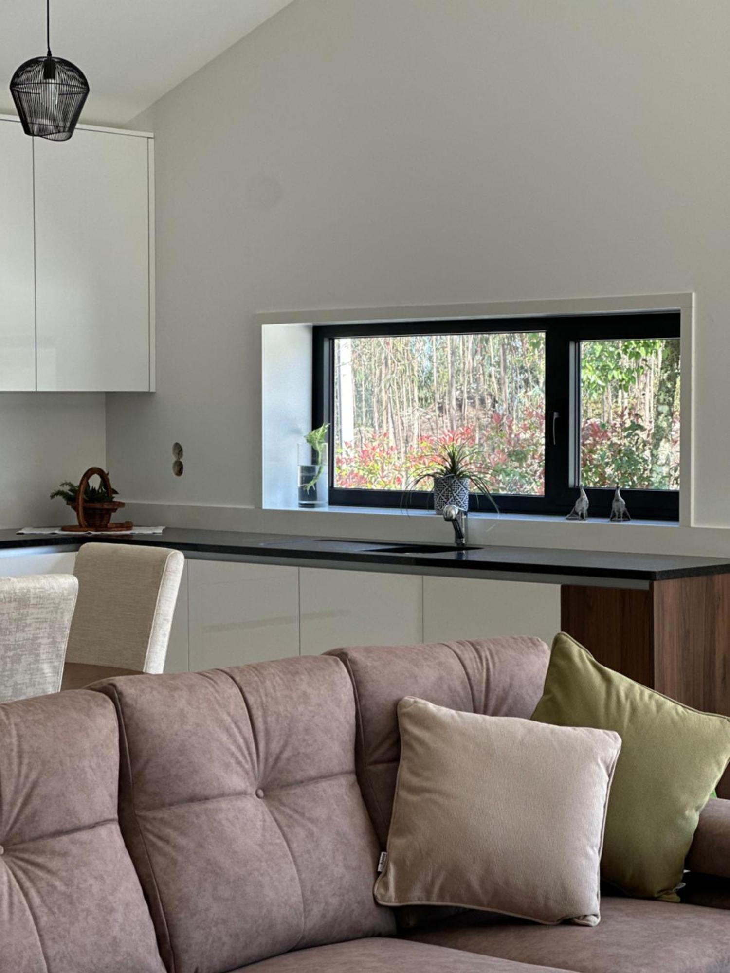 Quinta Da Barrosa - Private Villa Arouca